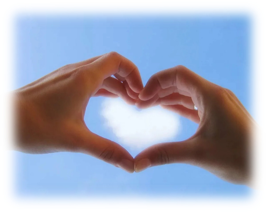 В НИУ "БелГУ" стартовал Рождественский благотворительный марафон "Тёплым словом - добрым делом"